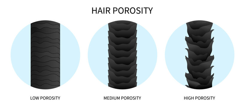 moisturization sinks drop hair porosity test for dryness thinning hydration