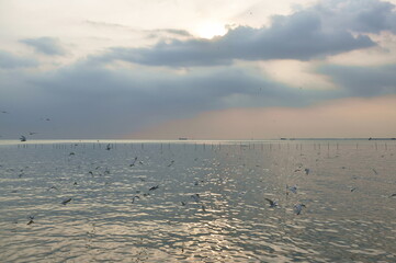 Fototapeta premium landscape of sea in sunset at Bang poo travel location in Thailand