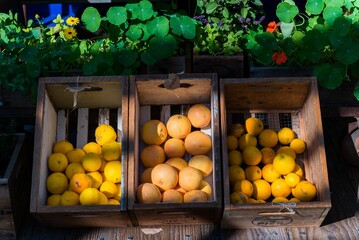 Closeup shot of a grocery storefront