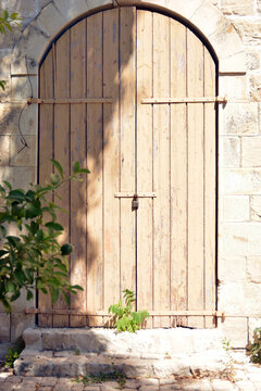 An ancient light brown wooden door in  in the old city of Safed
a  with a few leaves at noon today in Israel