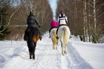 equestrian sport three horse women on horseback in winter forest with snow. High quality photo
