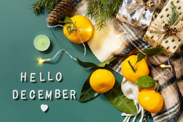 Hello December text. Winter composition with fir branches, present, scarf and tangerines on a green background. Cozy winter mood. View from above. © elena_hramowa