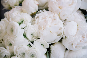 Beautiful blossoming white Ranunculus and peony flowers horizontal texture, close up view