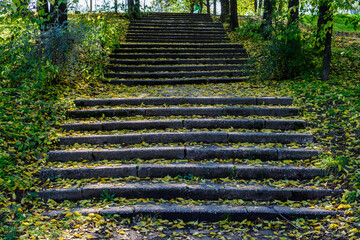 Stairs surrounded by many large green and yellow trees and grass in a sunny autumn day in Parcul...