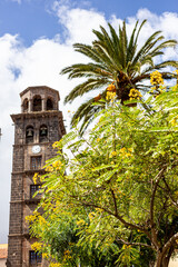 Fototapeta na wymiar bell tower of basilica of lagoon in Tenerife Canary Islands