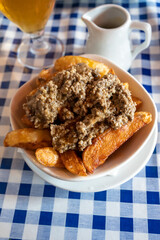 Scottish traditional snack food, hand cut potato chips topped with haggis and gravy