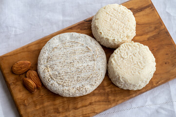 Taste of France, small round cheese Tome de Provence and matured small goat cheeses, Alpes-de-Haute-Provence, France