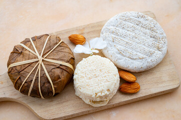 Taste of France, small round cheese Tome de Provence, matured small goat cheese and mountains cheese banon wrapped in chestnut leaves, Alpes-de-Haute-Provence, France
