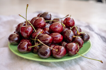 Giant fresh ripe black cherries, new harvest, ready to eat close up