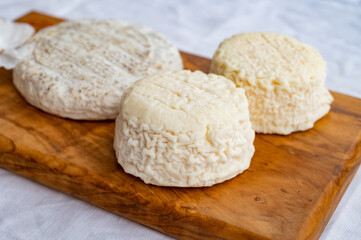 Taste of France, small round cheese Tome de Provence and matured small goat cheeses, Alpes-de-Haute-Provence, France
