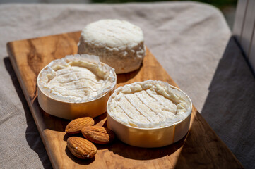 French cheeses Rocamadour and Saint-Marcellin served on olive tree wooden plank with almonds