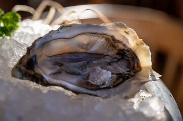 Fresh open oysters seafood served on ice with lemon in French restaurant
