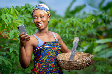 beautiful image of african lady, with smart phone and basket in a farm-black woman surfing on...