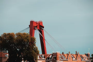 Foto auf Alu-Dibond Brücke Rotterdam © m.x.t.h