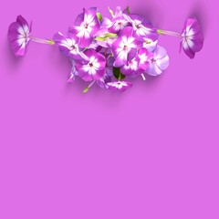 Fall themed Background, with flowers Purple end Lavender Color. 