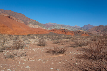 Fototapeta na wymiar Red rocks of Quebrada de Cafayate, Salta, Argentina, South America