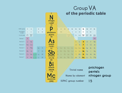 Group 15 (5A) of the Periodic Table of Elements. Nitrogen, phosphorus, arsenic, antimony, bismuth, moscovium,. Atomic mass and serial number of the element.Chemistry study poster. Vector illustration