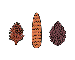 Pine cones set. Vector Illustration for printing, backgrounds, covers and packaging. Image can be used for greeting cards, posters, stickers and textile. Isolated on white background.