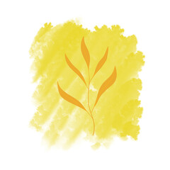 autumn leaves isolated on png or transparent background