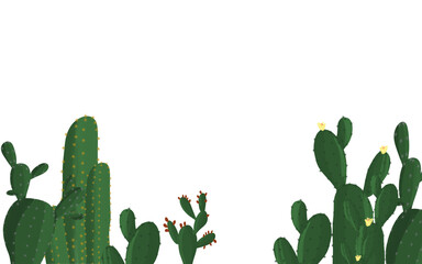 various kinds of green cactus isolated transparent background png © upen
