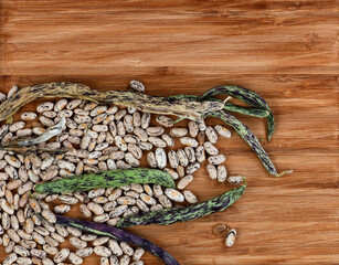 Dried rattlesnake pole beans with future seeds on bamboo background