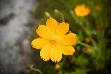9月浜名湖ガーデンパーク