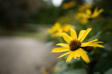 9月浜名湖ガーデンパーク