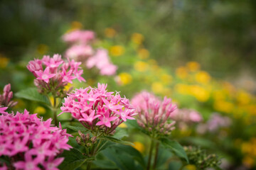 9月浜名湖ガーデンパーク