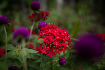 9月浜名湖ガーデンパーク