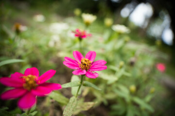 9月浜名湖ガーデンパーク