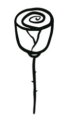Isolated rose flower line art doodle