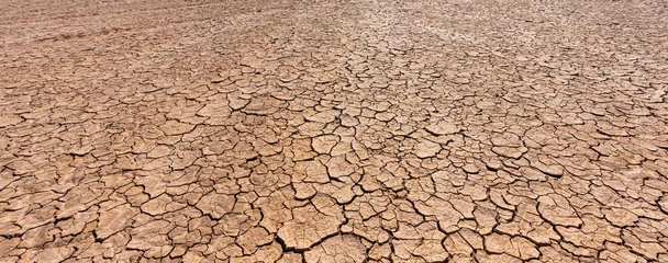 Foto op Canvas drought cracked landscape, dead land due to water shortage © AA+W