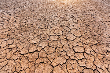 drought cracked landscape, dead land due to water shortage - obrazy, fototapety, plakaty