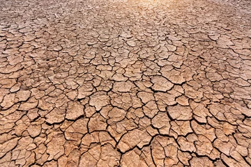 Zelfklevend Fotobehang drought cracked landscape, dead land due to water shortage © AA+W