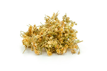 Tilia platyphyllos linden blossoms for herbal tea.