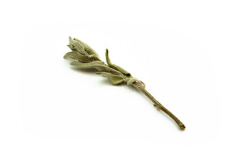 Bundle of dried sage herb top view in a white background.