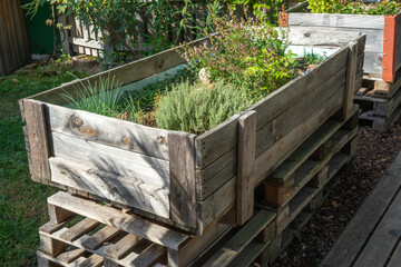 pallet raised garden bed with plants and herbs in summer, DIY inexpensive