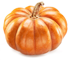 Orange round pumpkin isolated on white background.