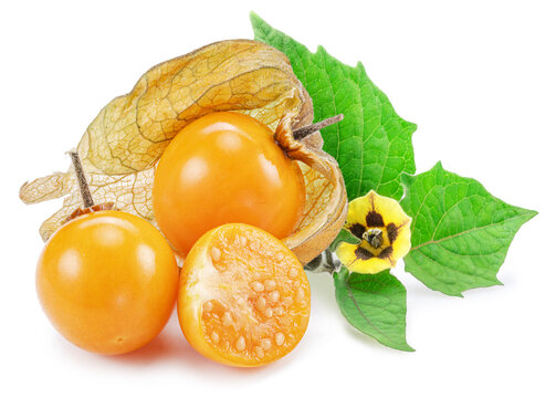 Ripe physalis or golden berry fruits with leaves and flower isolated on white background.