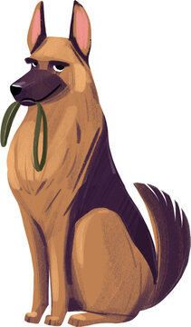 German Shepherd. PNG Cartoon Illustration