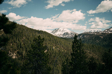 snowy mountain in forest