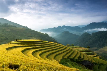Garden poster Rice fields Rice fields on terraces in Mu Cang Chai, Vietnam