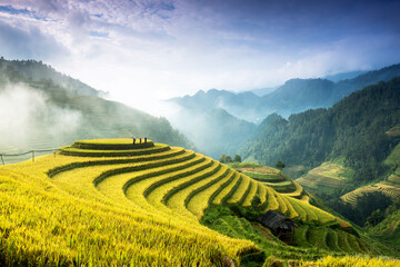 Rice fields on terraces in Mu Cang Chai, Vietnam