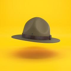 Fototapeta premium Scout hat, ranger hat, green campaign hat floating on a yellow background, 3d render