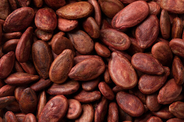 Dried watermelon seeds close up full frame as background