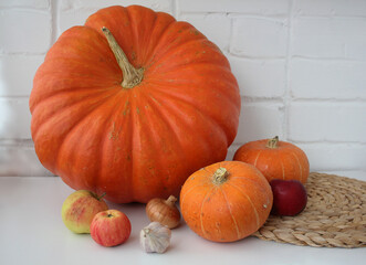 pumpkins of different sizes on a table on a white background