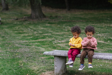 Black and Asian twins sitting together on bench in park 