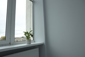 Windowsill with potted houseplant near light wall in room
