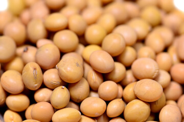 Chinese yellow soybeans in a closeup
