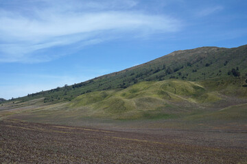 The savanna in the Bromo Tengger Semeru National Park area or known as Teletubbies Hill              